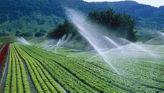 Quản lý tốt nguồn tài nguyên nước là cần thiết để xóa đói nghèo