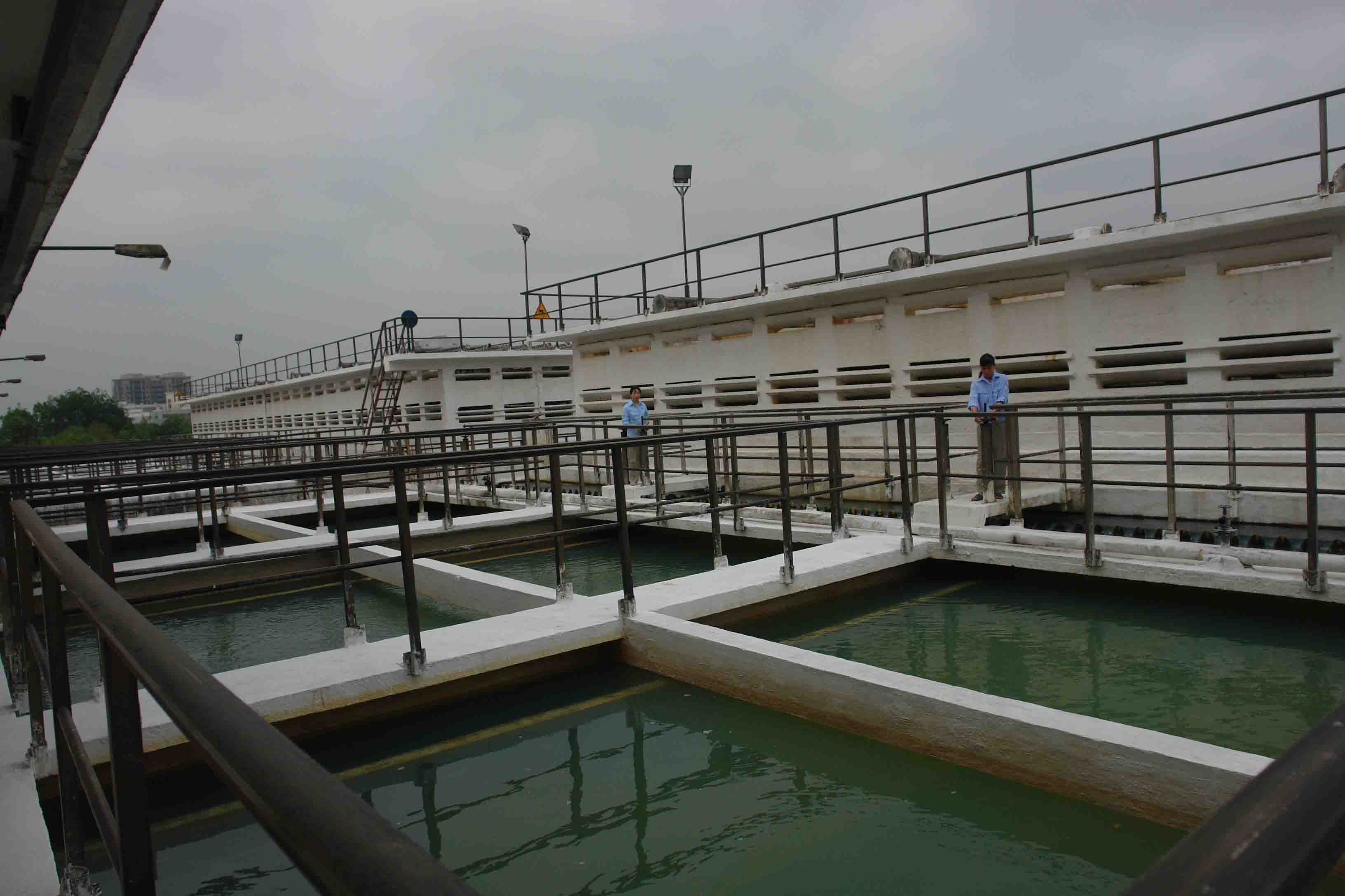 Giai đoạn hiện đại hóa