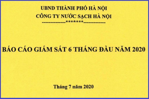 Báo cáo giám sát 6 tháng đầu năm 2020
