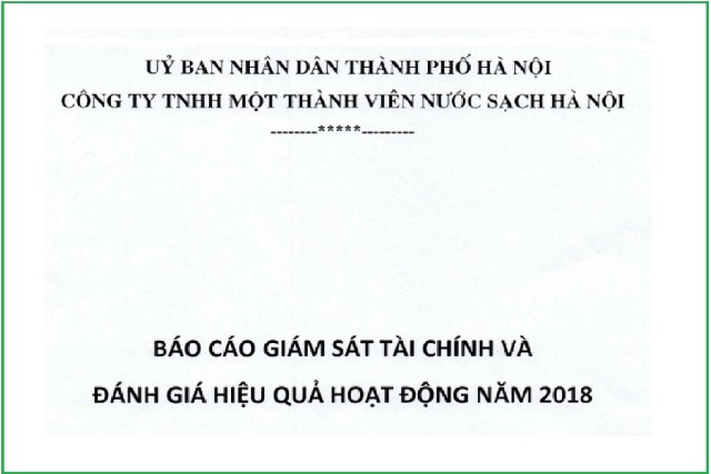 Báo cáo giám sát tài chính và đánh giá hiệu quả hoạt động năm 2018